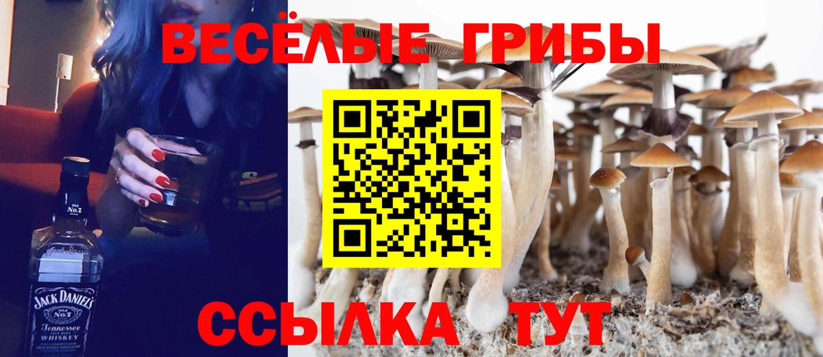 Галлюциногенные грибы MAGIC MUSHROOMS  Вход с VPN  Ленинск-Кузнецкий 